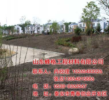 国营八五三农场别墅区绿化工程